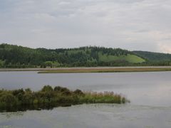 -洮儿河国家湿地公园