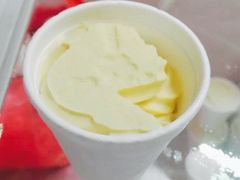 -洪馨椰子
