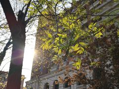 -利顺德大饭店·维多利亚花园(小白楼店)