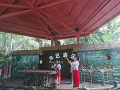 -西双版纳原始森林公园
