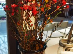 -阿妮叶李(光谷世界城店)