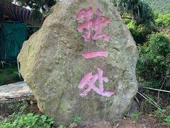 -杨梅坑