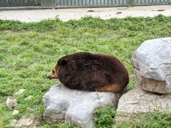 -上海野生动物园