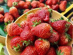 -油花·和牛寿喜烧·放题自助(市南银座店)