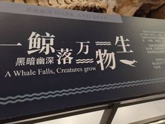 -凯司令西点房(虹桥路站店)