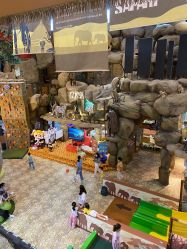 -卡通尼·Safari非洲探索乐园·生日会(金桥国际商业广场店)