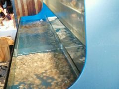 -星伦多 自助料理(圆融店)