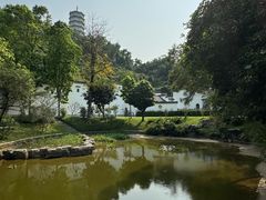 -深圳国际园林花卉博览园