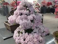 -上海滨江森林公园