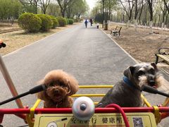 -永定河休闲森林公园