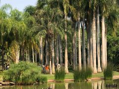 -中国科学院西双版纳热带植物园
