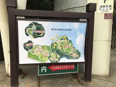 -大金鹰园