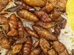 -云腾食府·云南菜