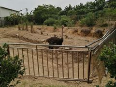 -泉州海丝野生动物世界