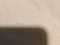 -云中小雅