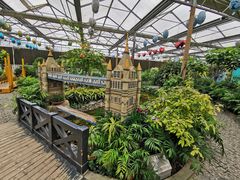 -南宫五洲植物乐园