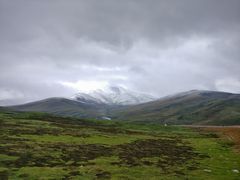 -德禄酸奶(莫家街店)