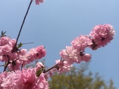 -圩墩遗址公园