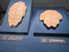 -盘龙城国家考古遗址公园