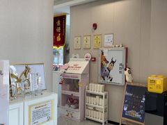-瑞鹏宠物医院·骨科·猫科·内科(第一中心)