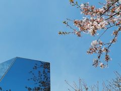 -龙美术馆(西岸馆)