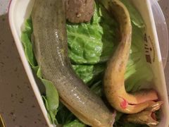 -芝小官毛肚火锅海鲜自助(淮安清江浦区新亚店)