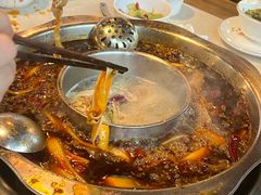 -九尺赵老四鲜鹅肠火锅