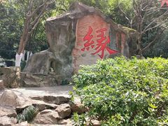 -杭州黄龙洞