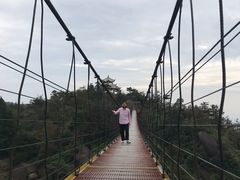 -玉苍山国家森林公园