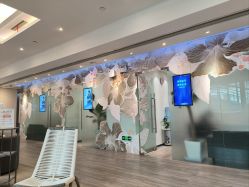 点击看大图 -上海首尔丽格医疗美容医院