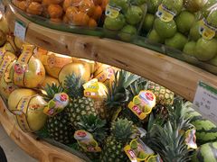 -百果园PAGODA(玄武成贤街店)