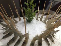 活虾-皇城老妈·大连海鲜火锅(港湾店)