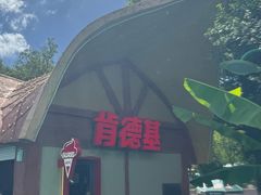 -苏州乐园森林水世界