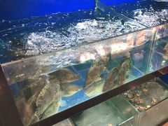 水产区-李东农庄(中南百草园地标店)