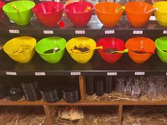 -果松木炭酸菜铜火锅·外婆参鸡汤