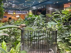 -凯德广场(学府店)