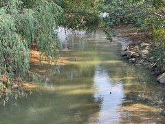 -深圳湾公园(南山区)