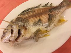 -深运潮州粥(东门店)