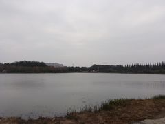 -洛龙公园