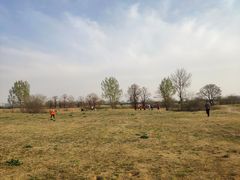 -汉长安城未央宫国家考古遗址公园