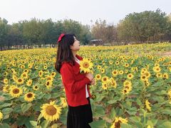 -西北大学(桃园校区)