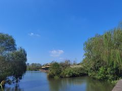 -溱湖国家湿地公园