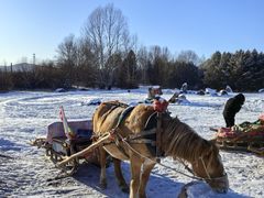 -北极村旅游风景区