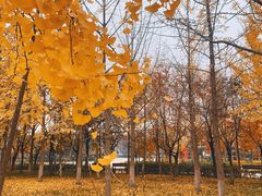 -长安大学(北校区)