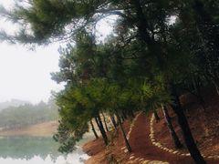 -南京市无想山景区