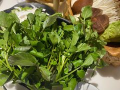 -东椰·海南椰子鸡火锅(朝阳门店)