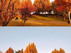 -临汾涝洰河生态公园
