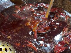 -黄潇洒老火锅(九眼桥宏济巷店)