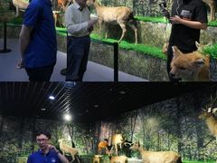 -北京麋鹿生态实验中心