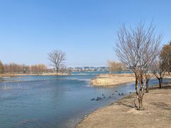 -北龙湖湿地公园